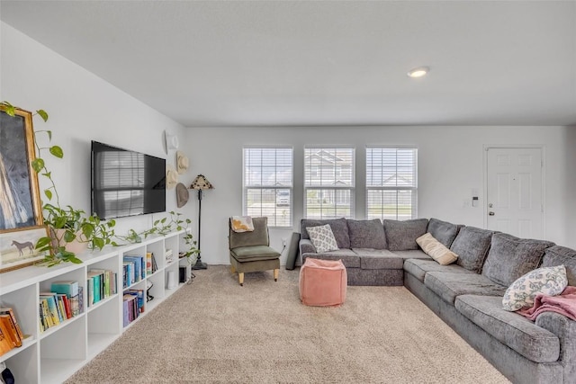 2406 Windrow Ln, Lockhart, TX 78644 - living room with carpet floors and healthy amount of natural light