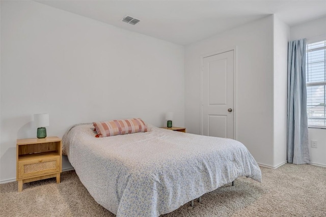 2406 Windrow Ln, Lockhart, TX 78644 - bedroom with carpet