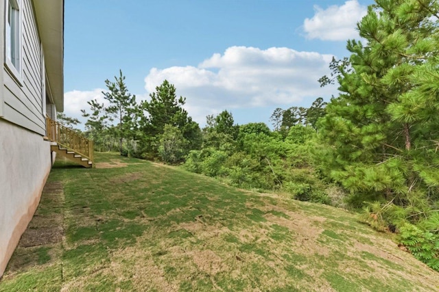 130 Mokalau Dr, Bastrop, TX 78602 - view of grassy yard with stairs
