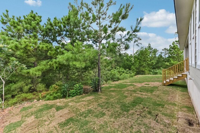 130 Mokalau Dr, Bastrop, TX 78602 - view of green lawn
