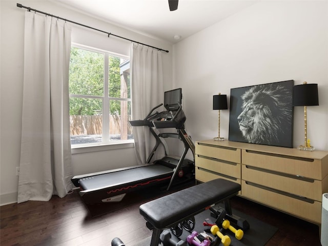 5408 Prock Ln Unit A, Austin, TX 78721 - workout room featuring plenty of natural light and wood finished floors
