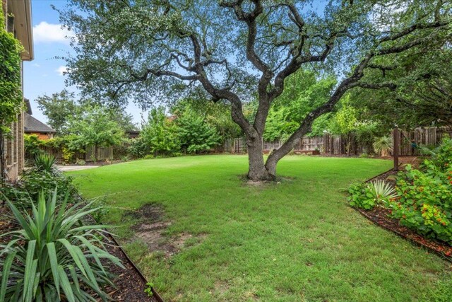 211 Longmont Ln, Austin, TX 78737 - view of fenced backyard