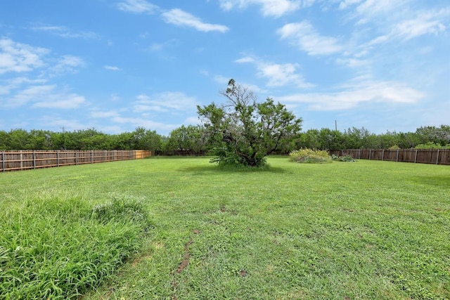 120 Layton Way, Georgetown, TX 78633 - photo 28