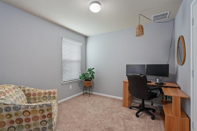 233 Voss, Kyle, TX 78640 - office area featuring carpet floors and a textured ceiling