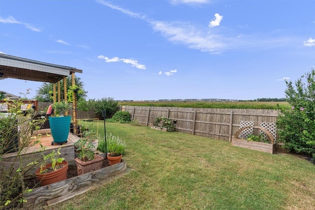 233 Voss, Kyle, TX 78640 - fenced backyard with a vegetable garden