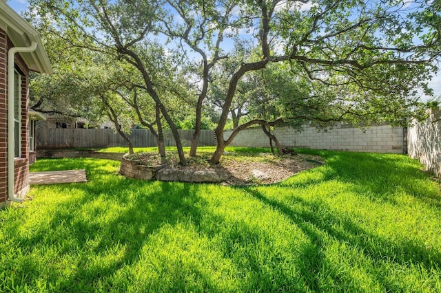 3213 Summer Canyon Dr, Austin, TX 78732 - view of fenced backyard