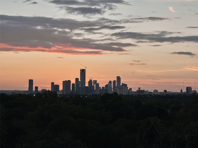 412 Kemp St, Austin, TX 78741 - view of city skyline