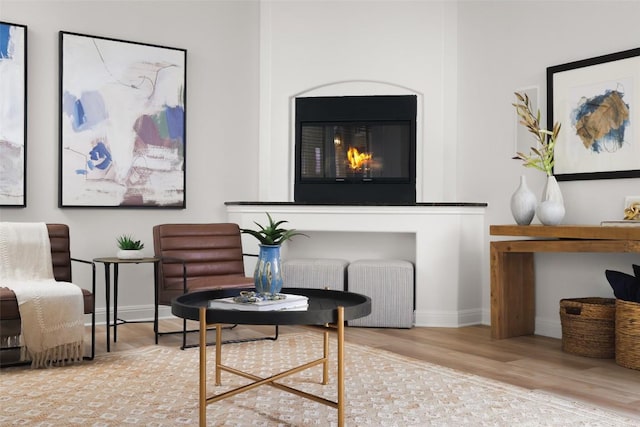 3406 Menchaca Rd Unit 14, Austin, TX 78704 - living area with wood finished floors and a glass covered fireplace