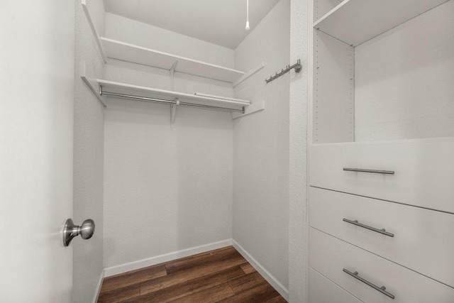 7604 Beinville Cv, Austin, TX 78749 - spacious closet with dark wood-type flooring
