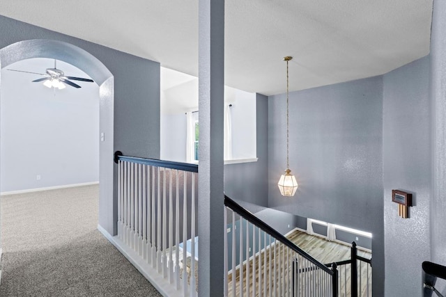 9105 Trickle Trace Trl, Round Rock, TX 78681 - corridor featuring arched walkways, carpet floors, and an upstairs landing