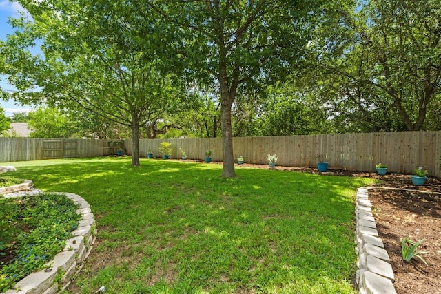 9105 Trickle Trace Trl, Round Rock, TX 78681 - view of fenced backyard