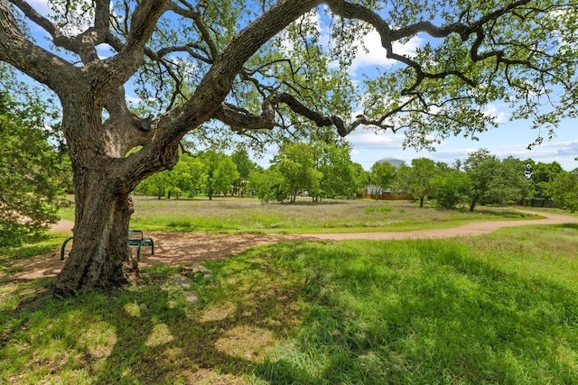 9105 Trickle Trace Trl, Round Rock, TX 78681 - view of yard