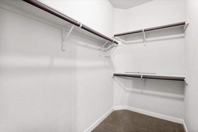 2101 Rivers Edge Way Unit 17, Austin, TX 78741 - walk in closet with dark carpet
