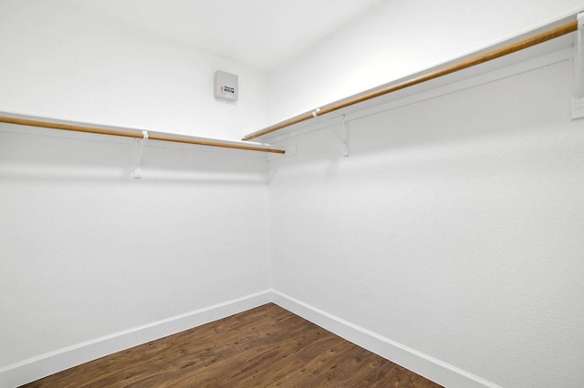 3013 Wavecrest Blvd, Austin, TX 78728 - walk in closet featuring dark wood-style flooring