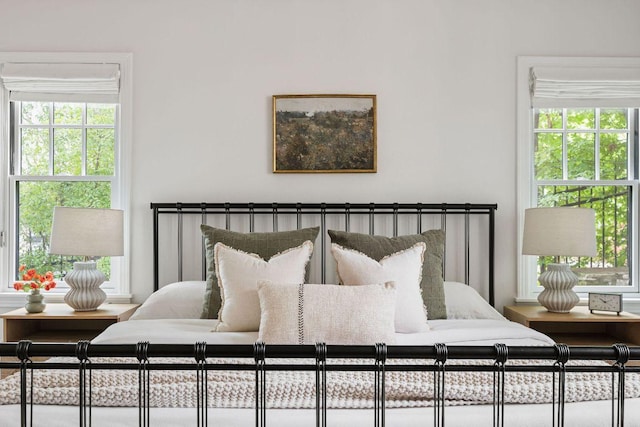 1118 Reagan Ter, Austin, TX 78704 - view of bedroom
