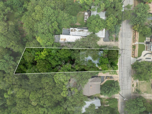 1118 Reagan Ter, Austin, TX 78704 - aerial view of property's location featuring property parcel outlined