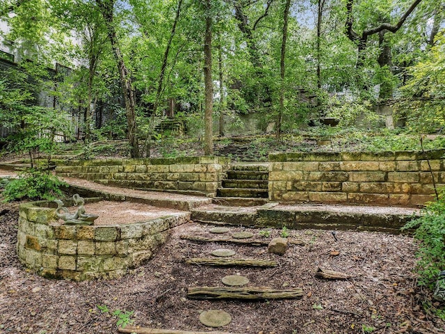 1118 Reagan Ter, Austin, TX 78704 - view of yard