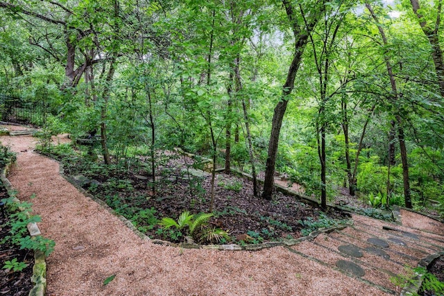 1118 Reagan Ter, Austin, TX 78704 - view of yard with a view of trees