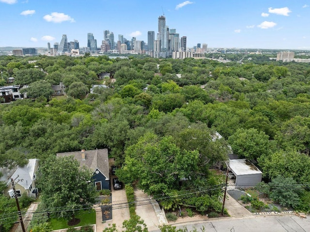 1118 Reagan Ter, Austin, TX 78704 - drone / aerial view of city skyline