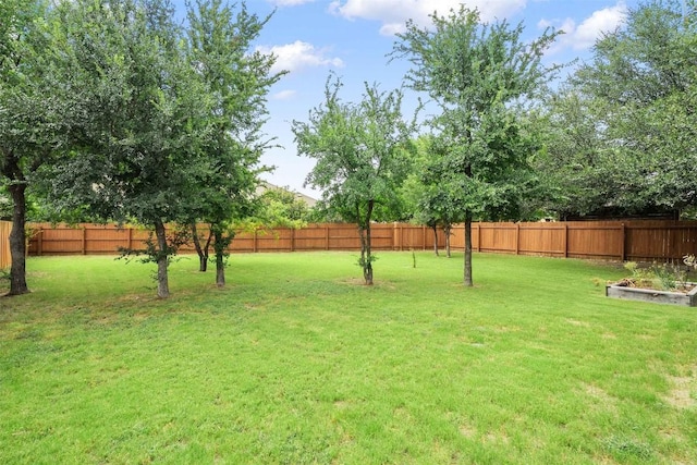 124 Tuscany Dr, Georgetown, TX 78628 - photo 30