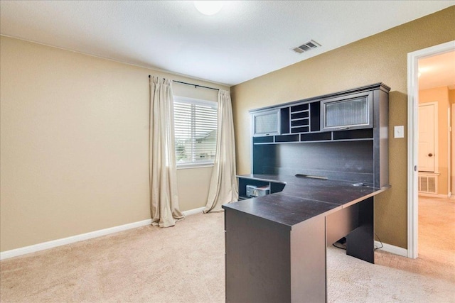 217 Adriana Ln, Hutto, TX 78634 - unfurnished office with light colored carpet