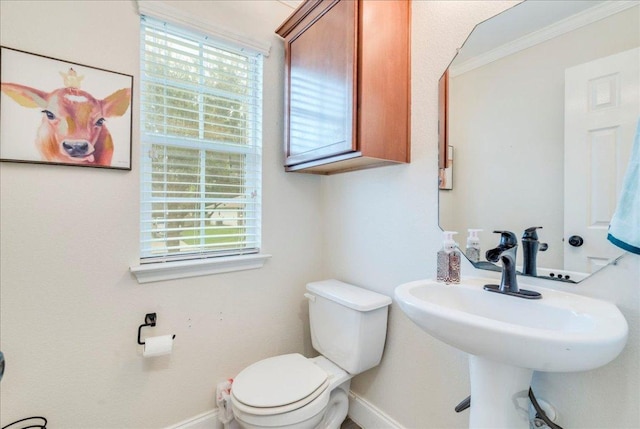 217 Adriana Ln, Hutto, TX 78634 - bathroom featuring toilet and ornamental molding