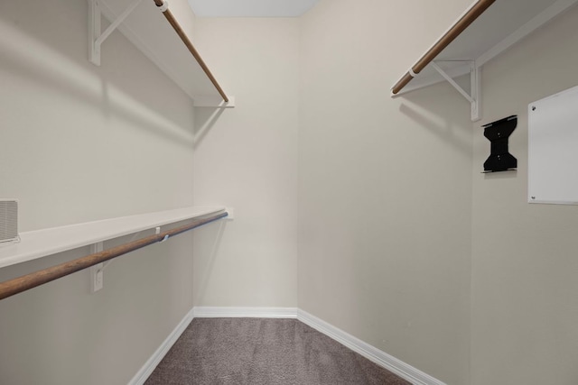 5715 Misty Hill Cv, Austin, TX 78759 - spacious closet with carpet floors