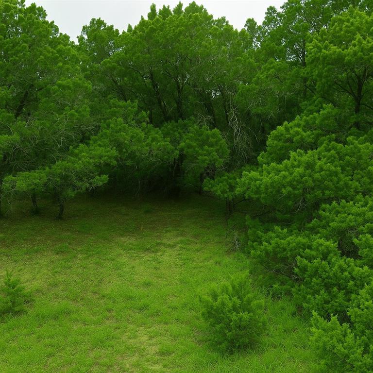 4414 Liberty Ln, Leander, TX 78645 - photo 1