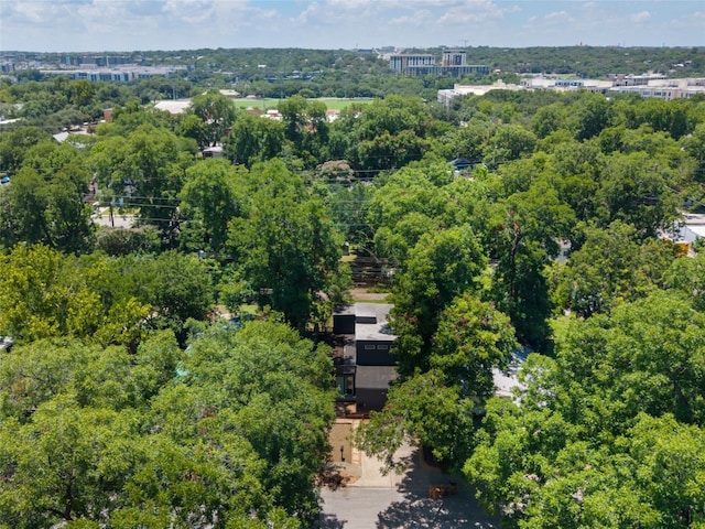 1605 Garden St, Austin, TX 78702 - drone / aerial view