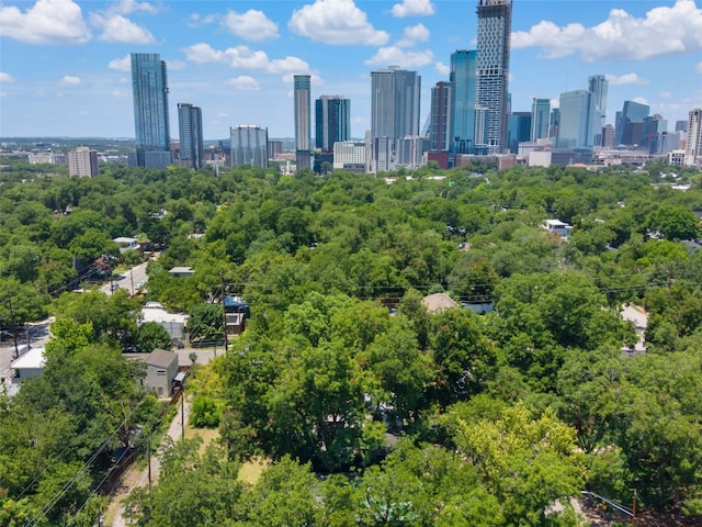 1605 Garden St, Austin, TX 78702 - skyline view