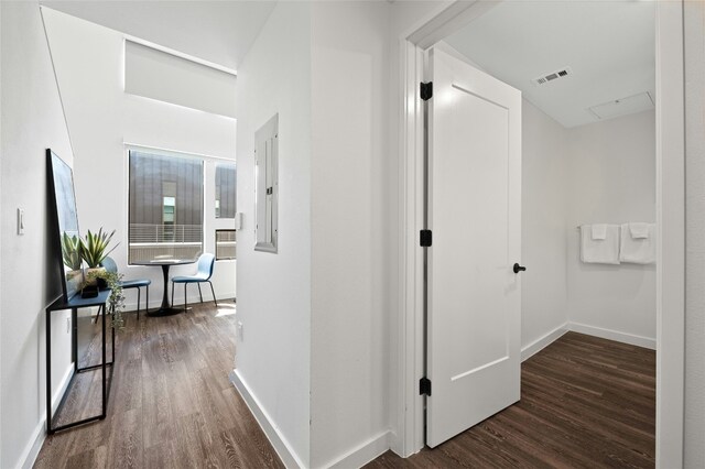 49 Navasota St Unit 216, Austin, TX 78702 - hallway with wood finished floors and electric panel