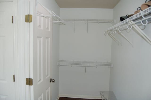 4216 Veiled Falls Dr, Pflugerville, TX 78660 - view of spacious closet