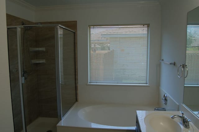 4216 Veiled Falls Dr, Pflugerville, TX 78660 - bathroom with a bath, a stall shower, crown molding, and vanity