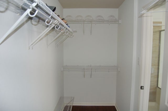 4216 Veiled Falls Dr, Pflugerville, TX 78660 - spacious closet with wood finished floors