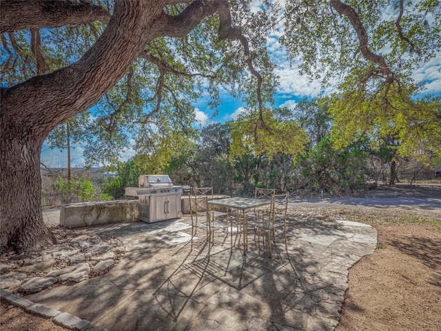 3908 Boat Dock Rd, Lago Vista, TX 78645 - view of patio with outdoor dining space and area for grilling