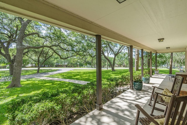 4104 Oak St, San Marcos, TX 78666 - photo 4