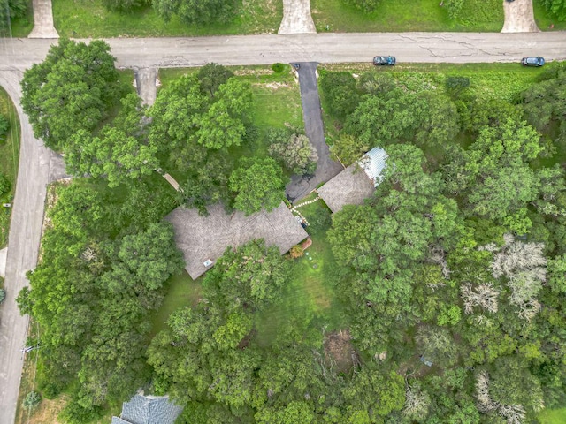 4104 Oak St, San Marcos, TX 78666 - photo 35