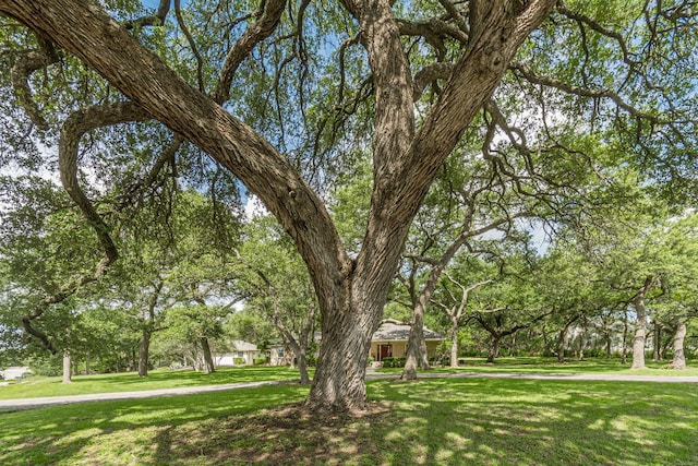4104 Oak St, San Marcos, TX 78666 - photo 36