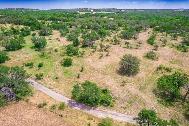 TBD Winnie Smith Rd, Round Mountain, TX 78663 - photo 5