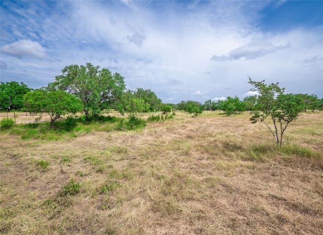 TBD Winnie Smith Rd, Round Mountain, TX 78663 - photo 7