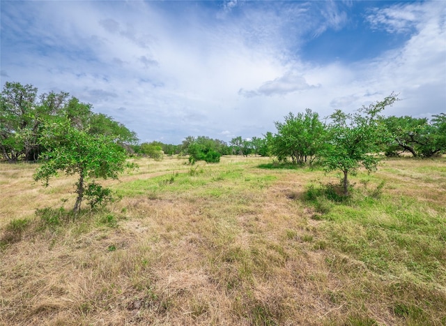 TBD Winnie Smith Rd, Round Mountain, TX 78663 - photo 8