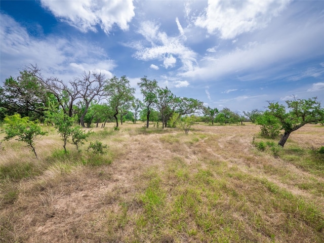 TBD Winnie Smith Rd, Round Mountain, TX 78663 - photo 9