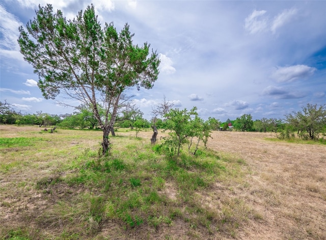 TBD Winnie Smith Rd, Round Mountain, TX 78663 - photo 10