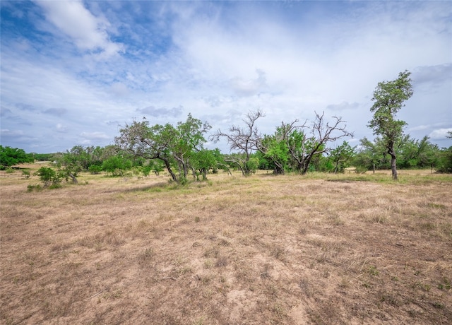 TBD Winnie Smith Rd, Round Mountain, TX 78663 - photo 11