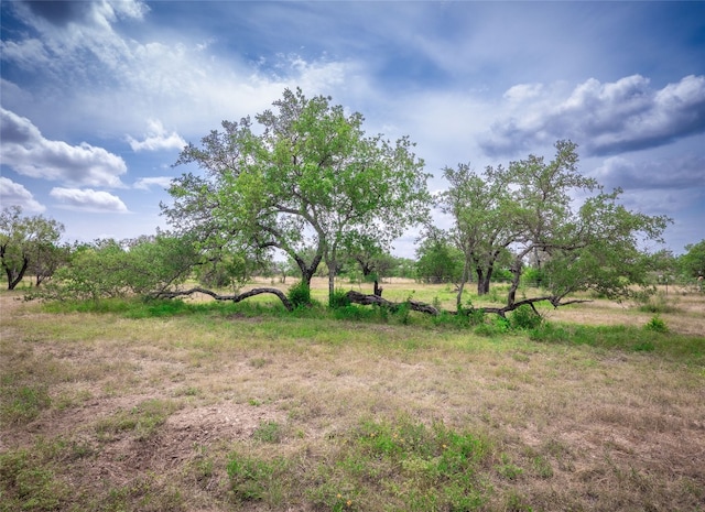 TBD Winnie Smith Rd, Round Mountain, TX 78663 - photo 12