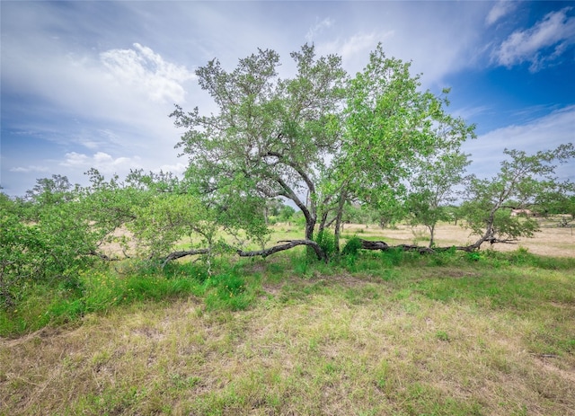TBD Winnie Smith Rd, Round Mountain, TX 78663 - photo 13