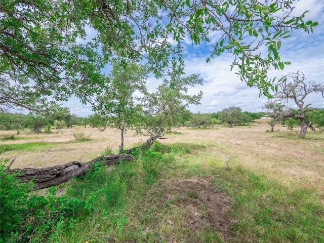 TBD Winnie Smith Rd, Round Mountain, TX 78663 - photo 14
