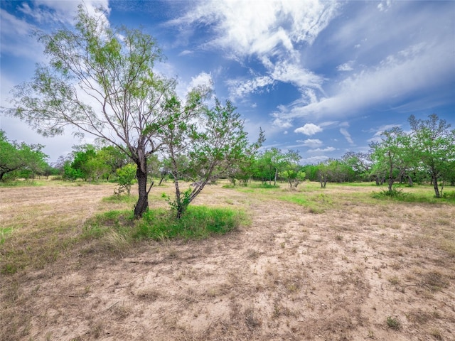 TBD Winnie Smith Rd, Round Mountain, TX 78663 - photo 15