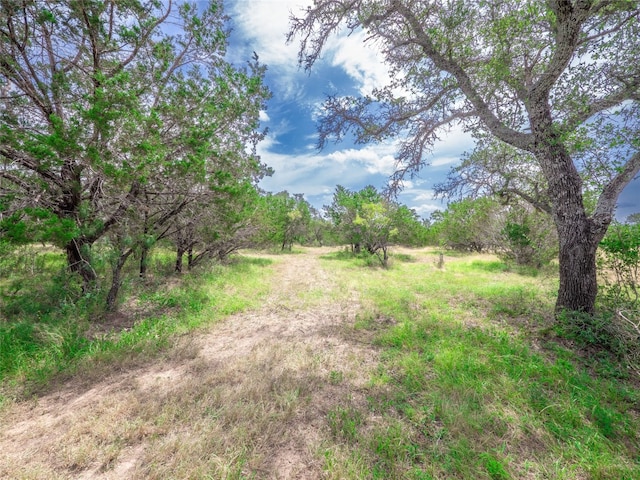 TBD Winnie Smith Rd, Round Mountain, TX 78663 - photo 16