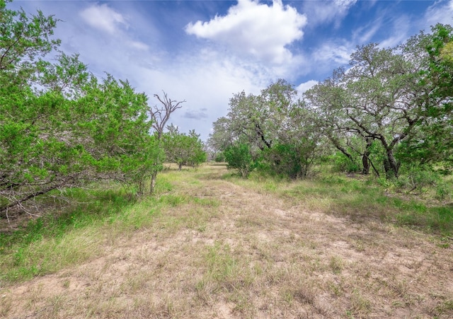 TBD Winnie Smith Rd, Round Mountain, TX 78663 - photo 17